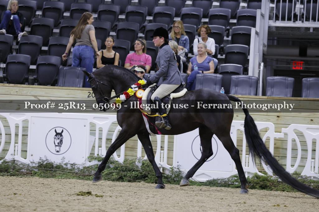 Proof 25R13_05099