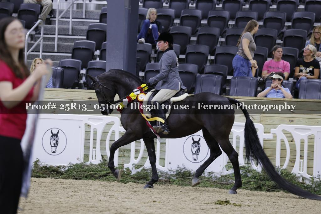 Proof 25R13_05100