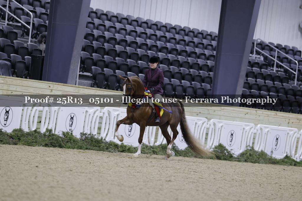 Proof 25R13_05101