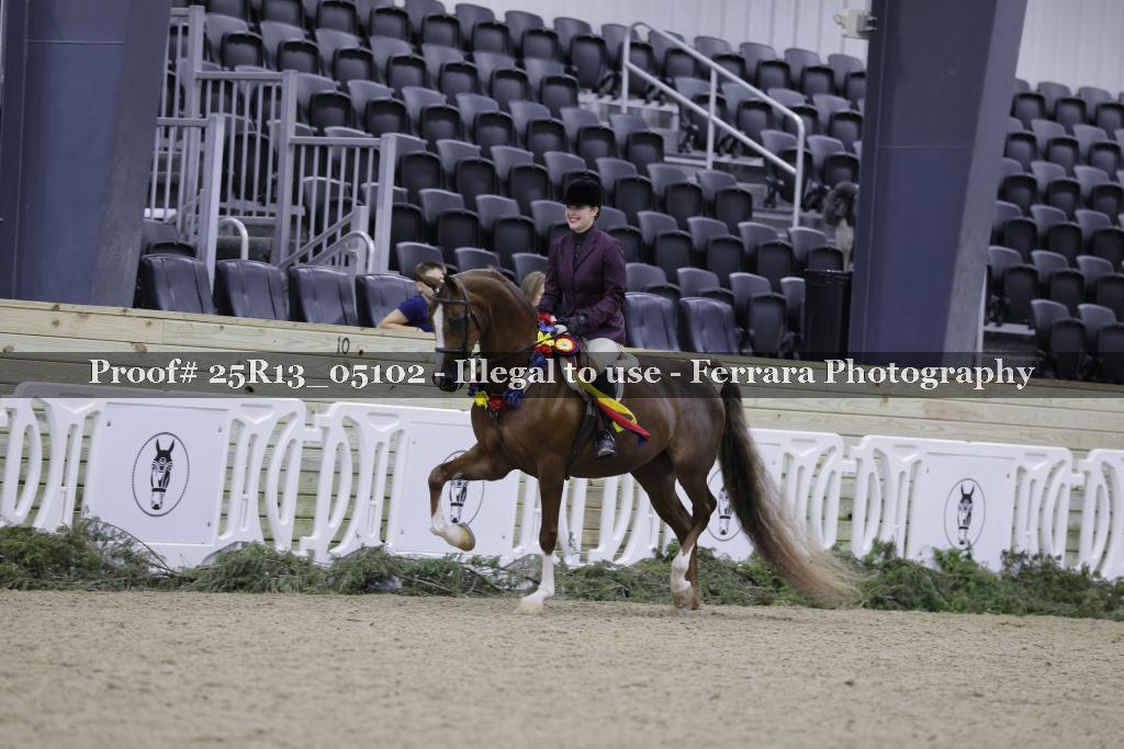 Proof 25R13_05102