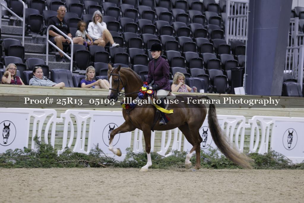 Proof 25R13_05103