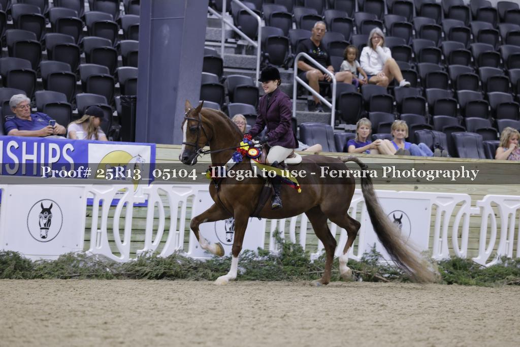 Proof 25R13_05104