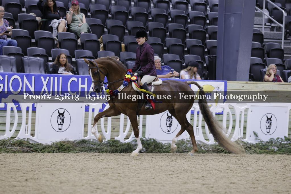 Proof 25R13_05105