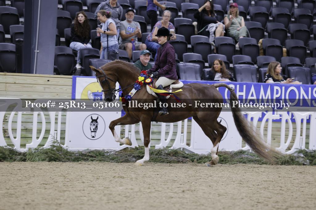 Proof 25R13_05106