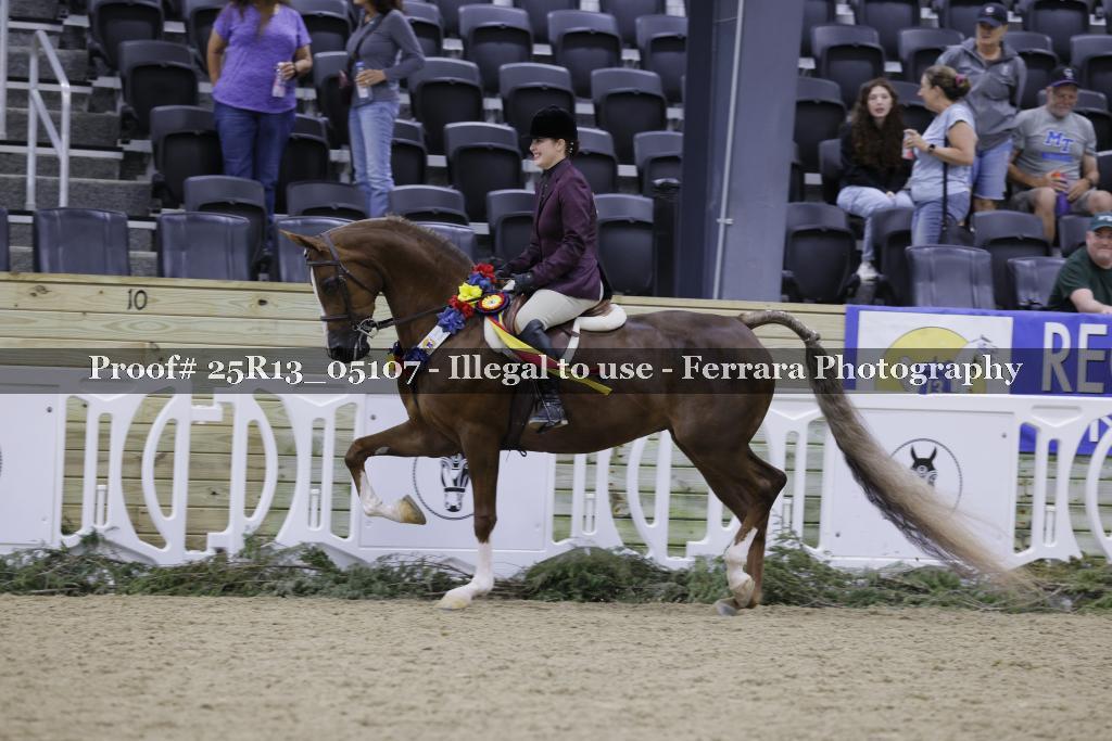 Proof 25R13_05107
