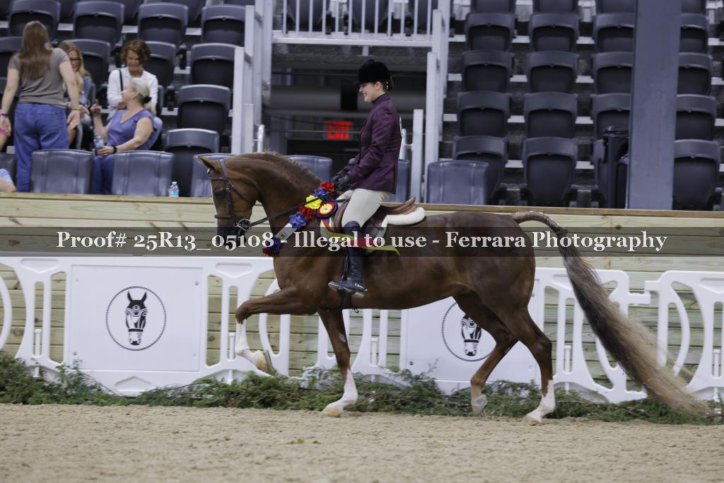 Proof 25R13_05108