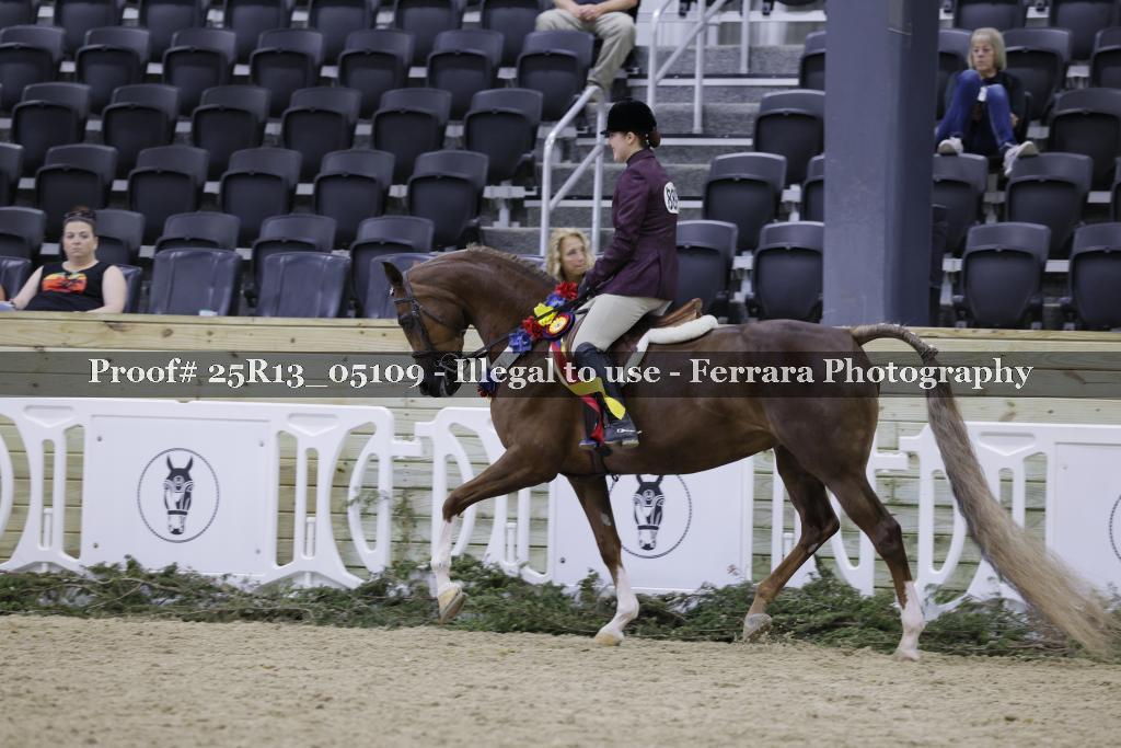 Proof 25R13_05109