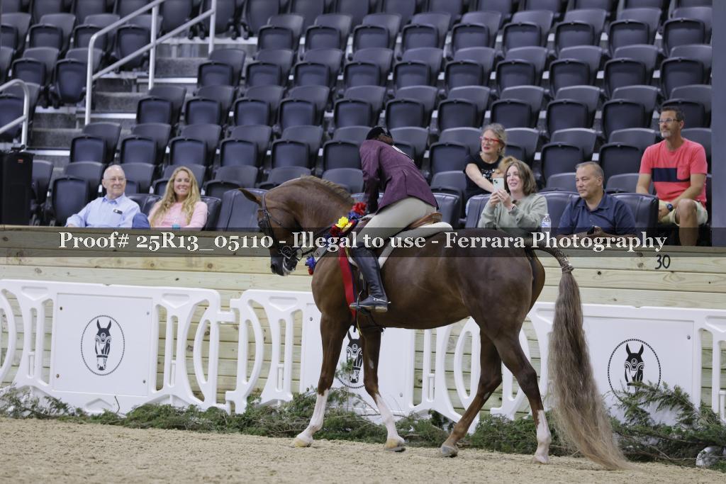Proof 25R13_05110