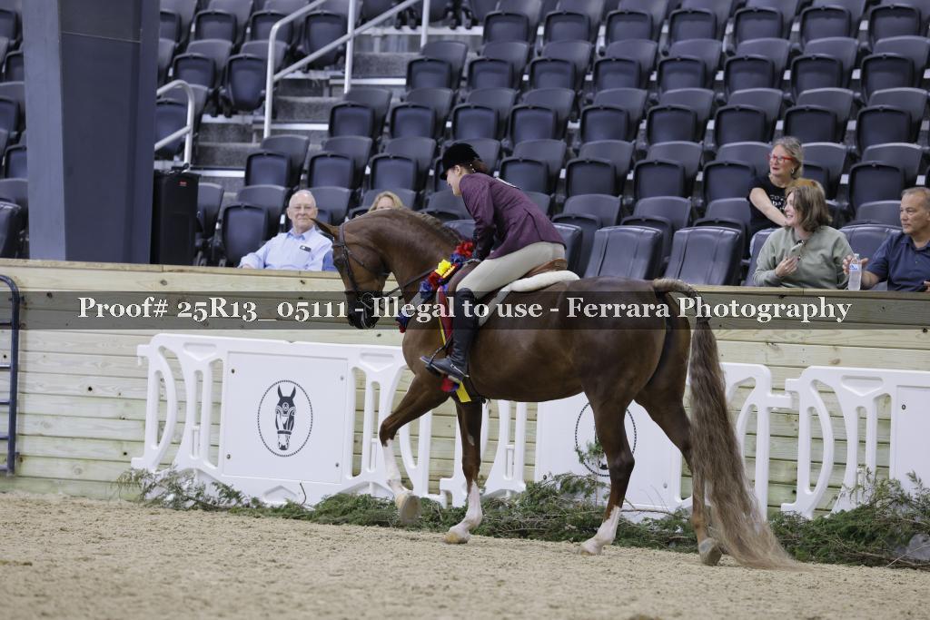 Proof 25R13_05111