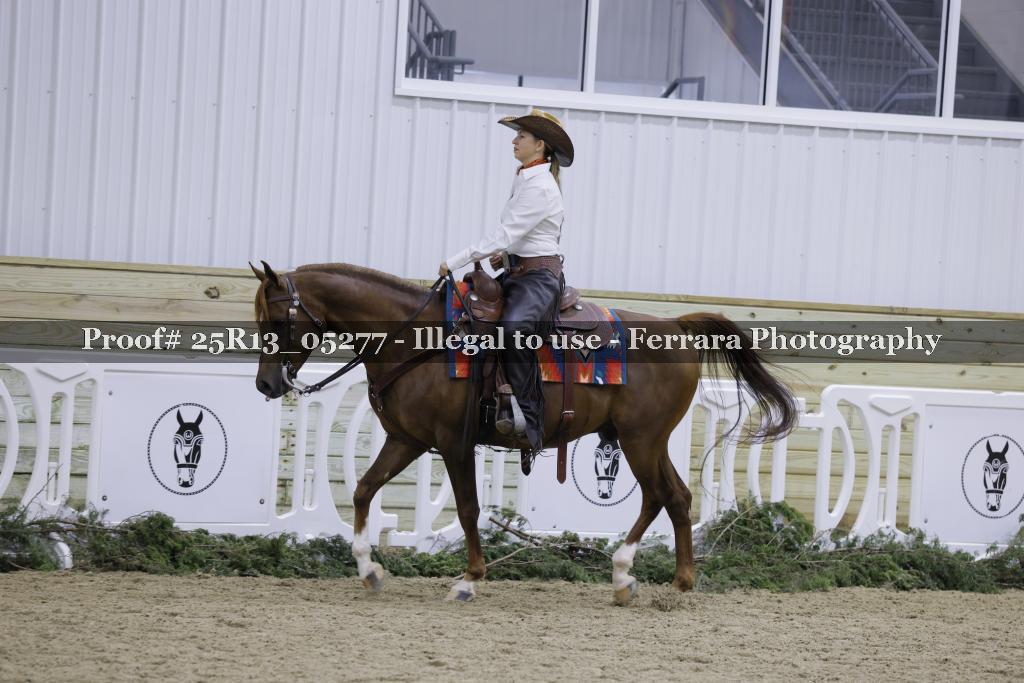 Proof 25R13_05277