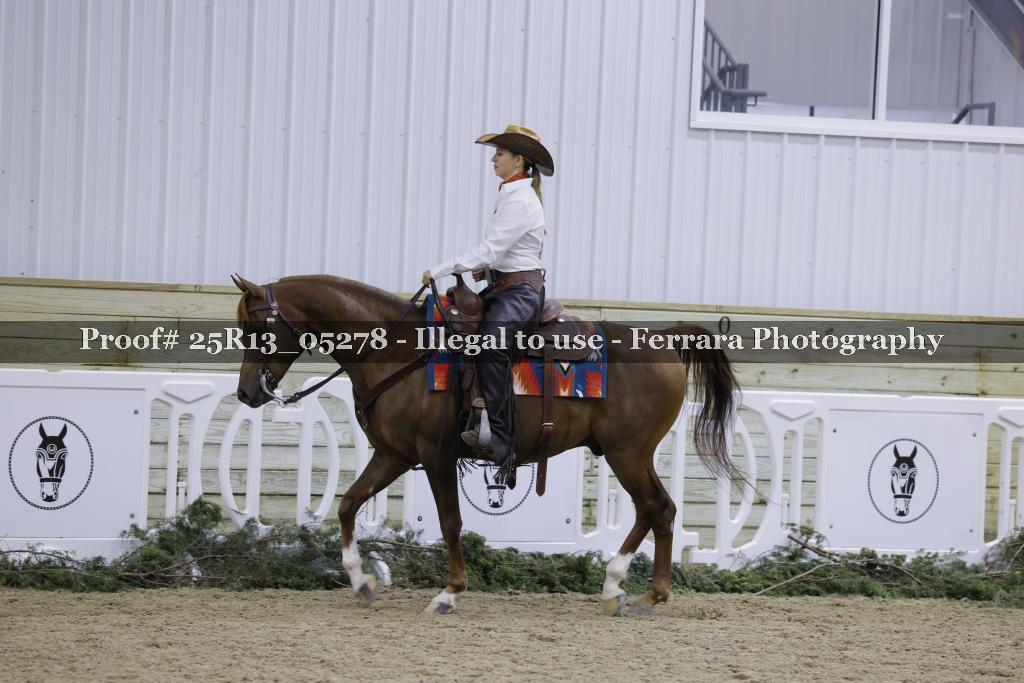 Proof 25R13_05278