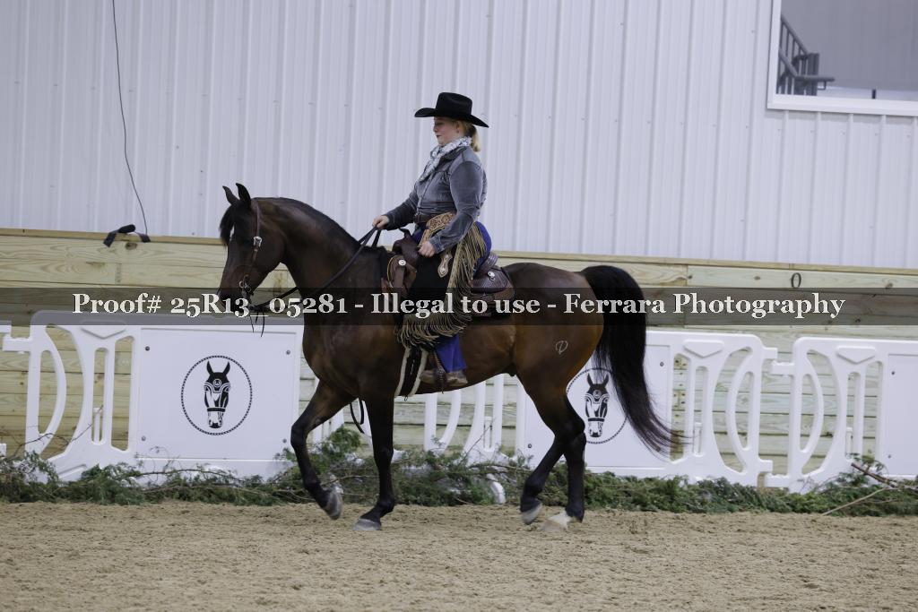 Proof 25R13_05281