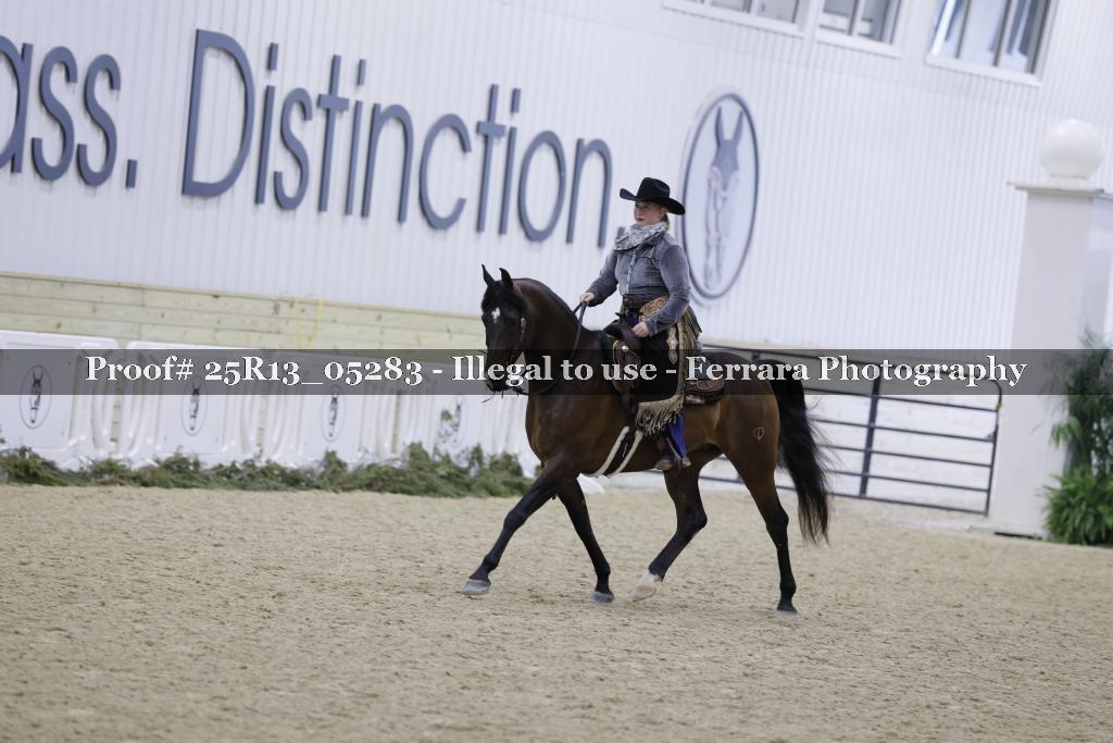 Proof 25R13_05283