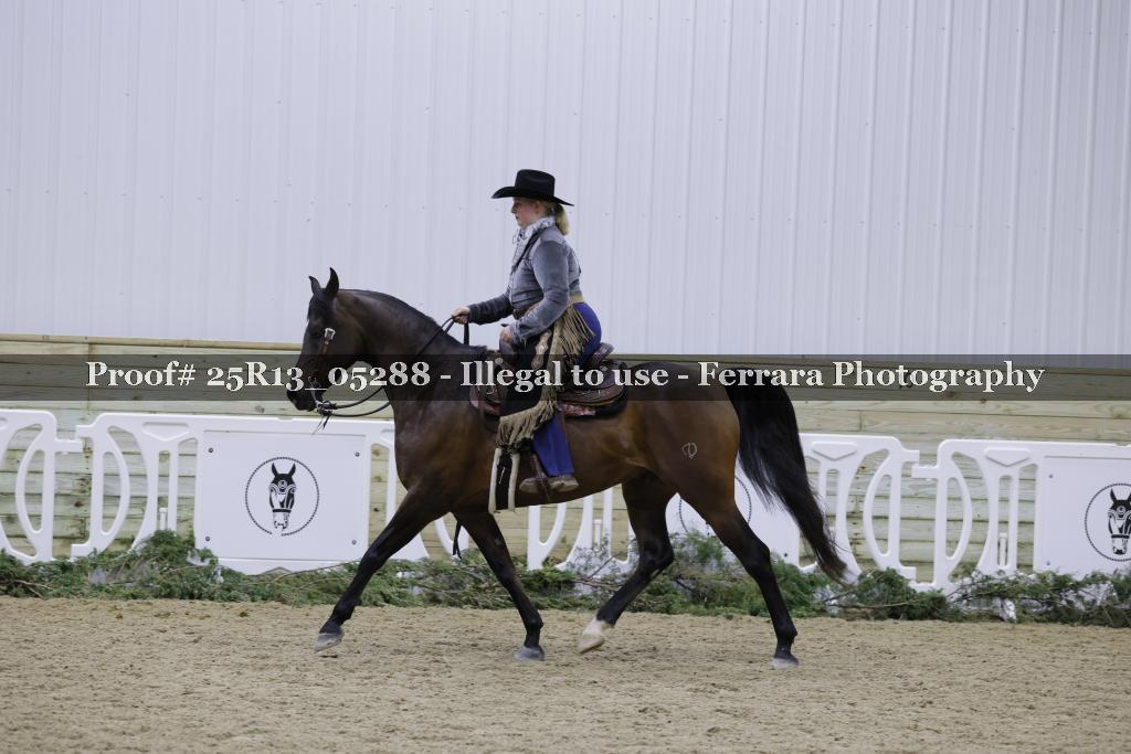 Proof 25R13_05288