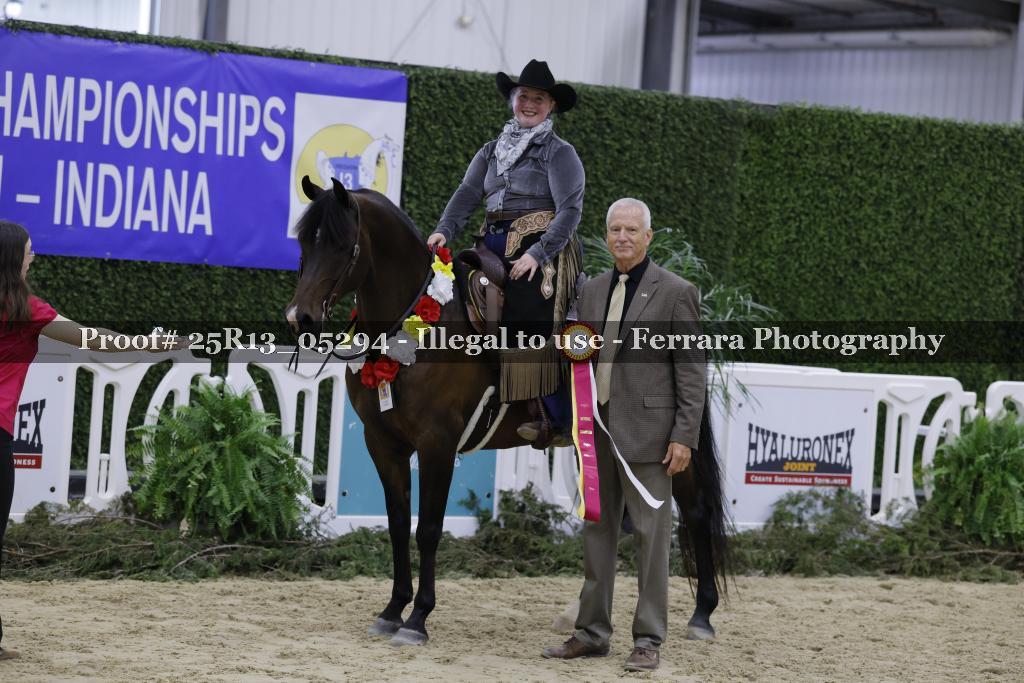 Proof 25R13_05294