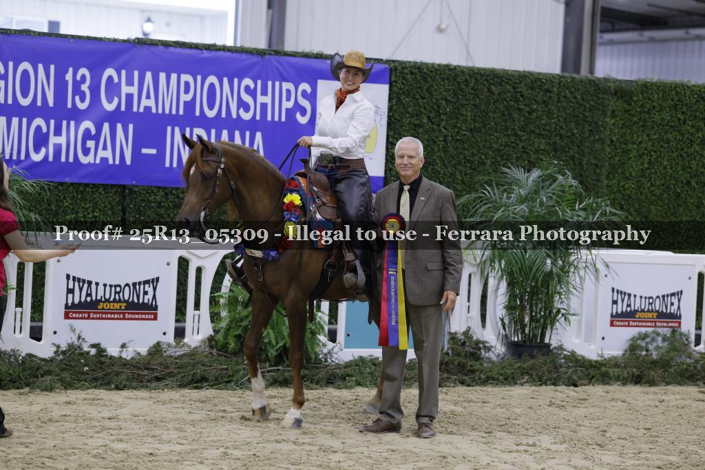 Proof 25R13_05309