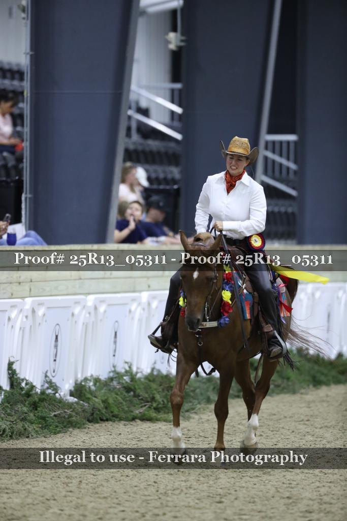 Proof 25R13_05311