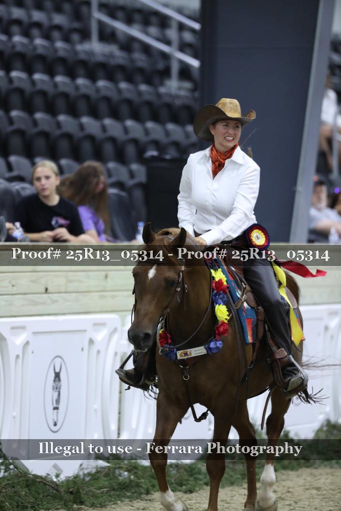 Proof 25R13_05314