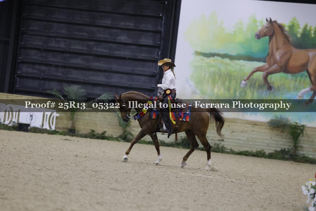 Proof 25R13_05322