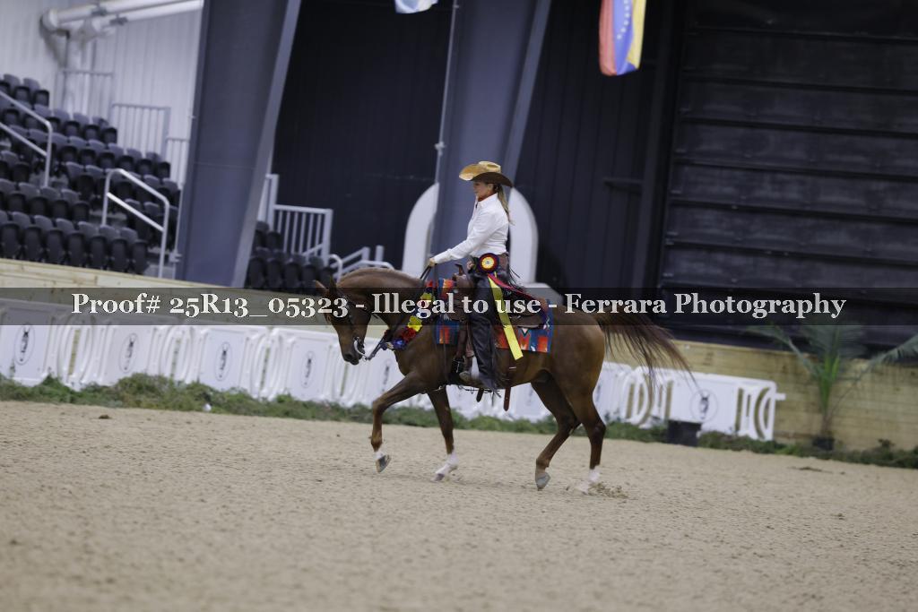 Proof 25R13_05323