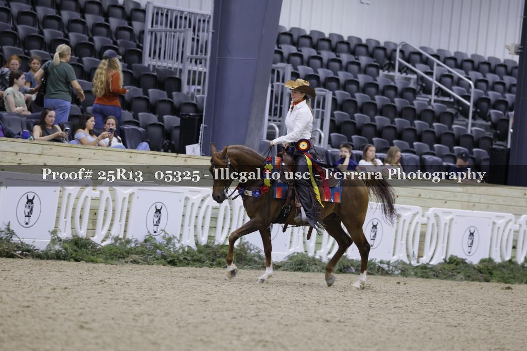 Proof 25R13_05325