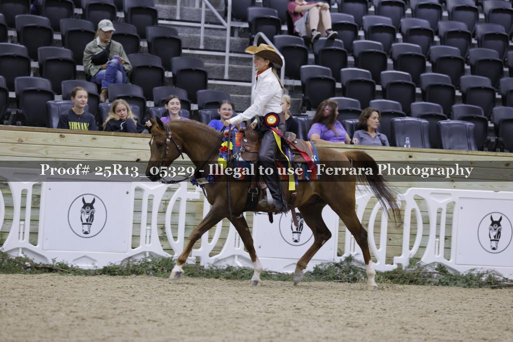 Proof 25R13_05329