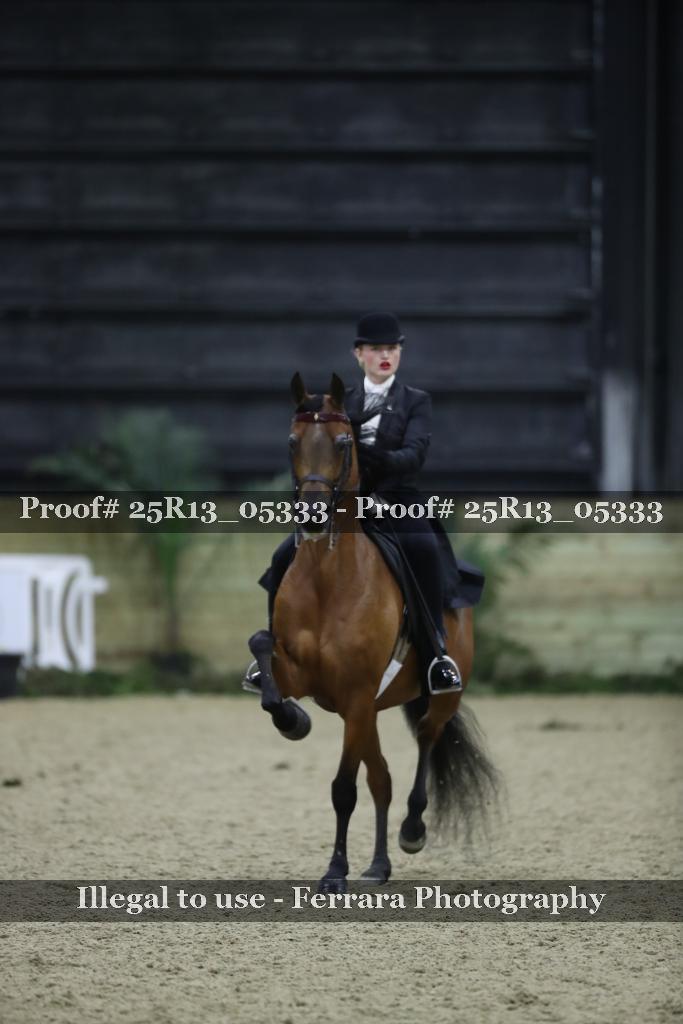 Proof 25R13_05333