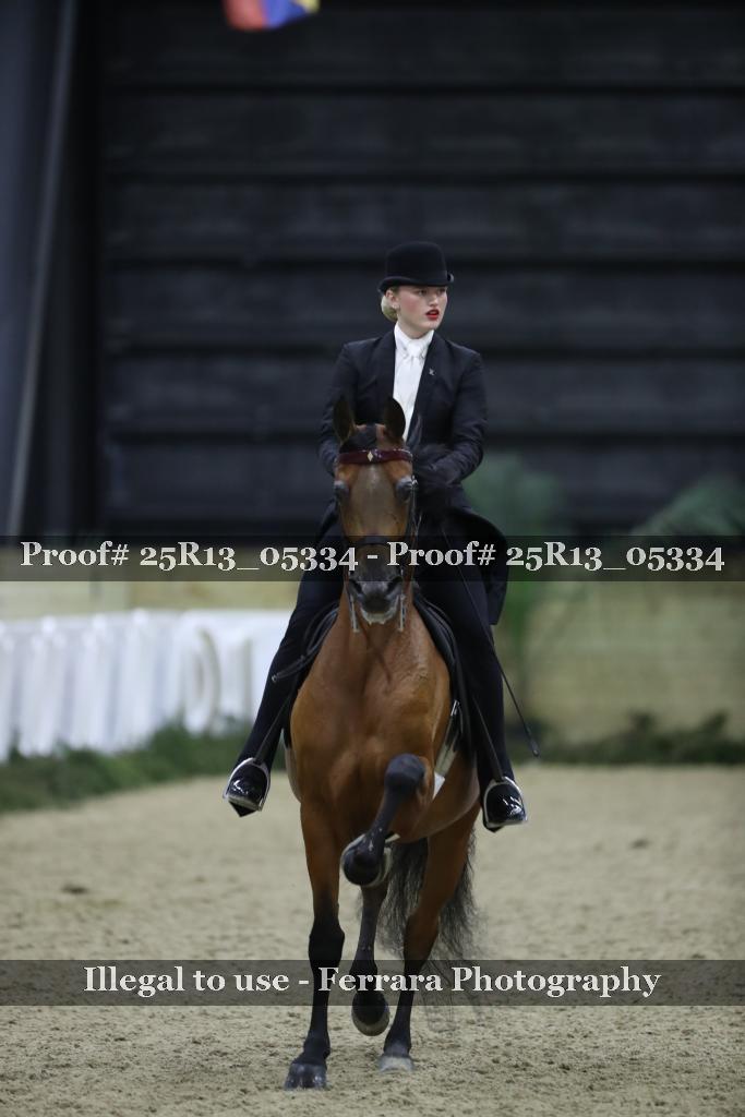Proof 25R13_05334