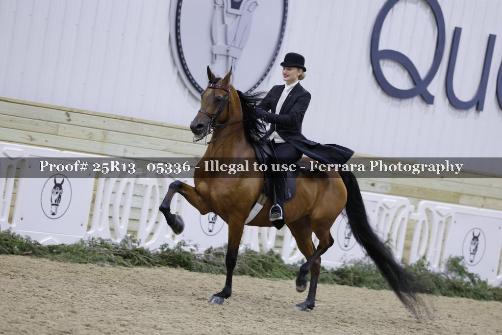 Proof 25R13_05336