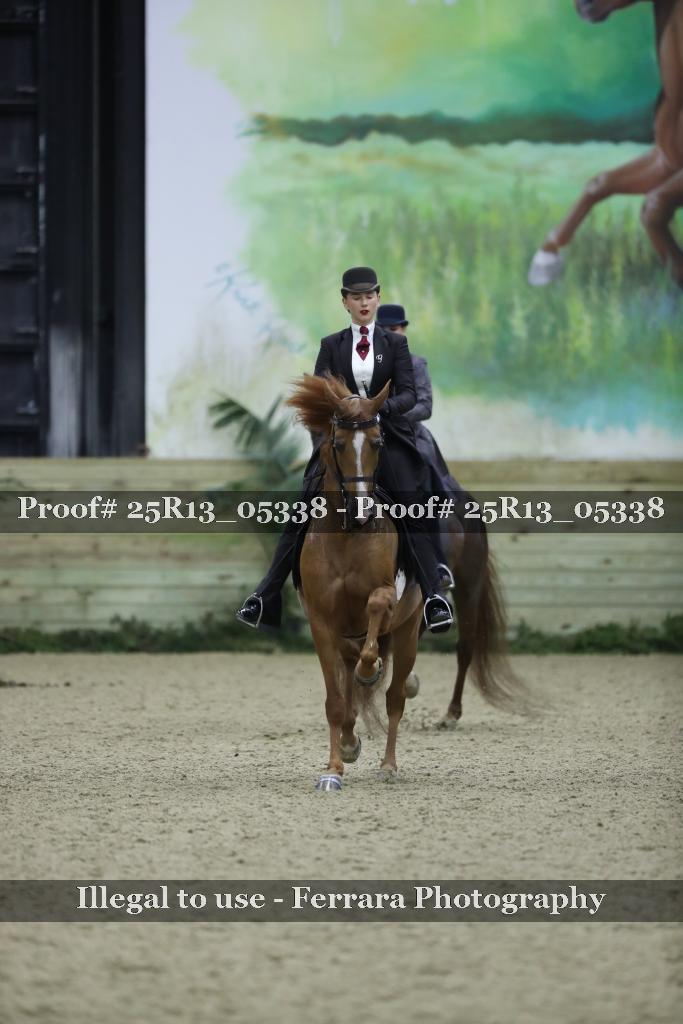 Proof 25R13_05338