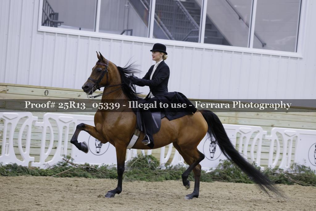 Proof 25R13_05339