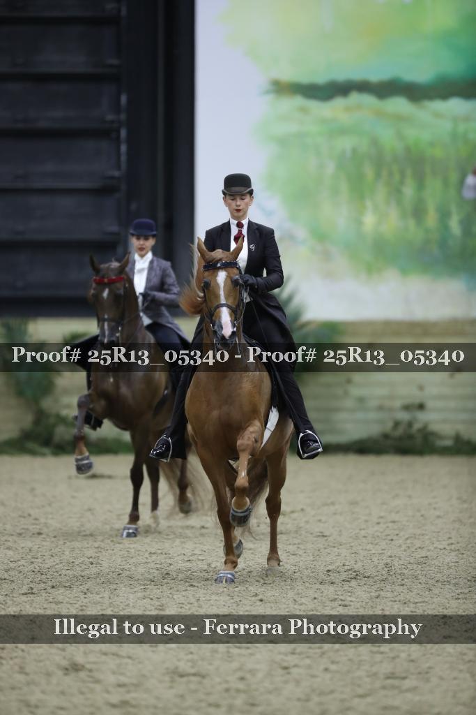 Proof 25R13_05340