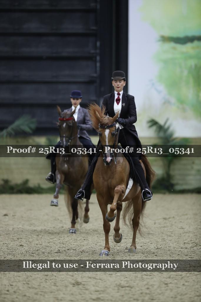 Proof 25R13_05341