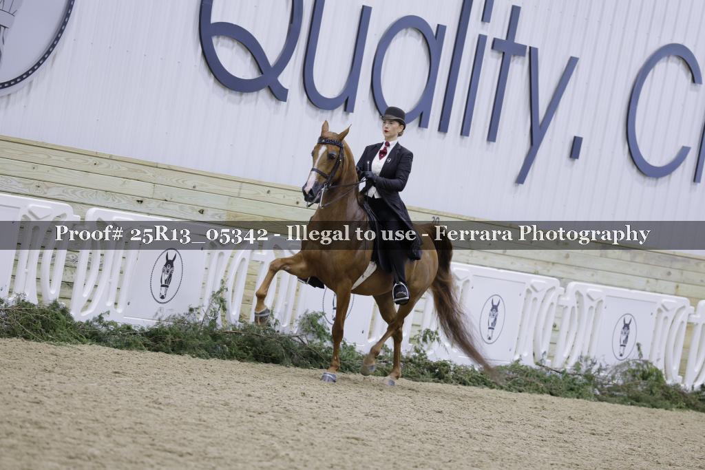 Proof 25R13_05342