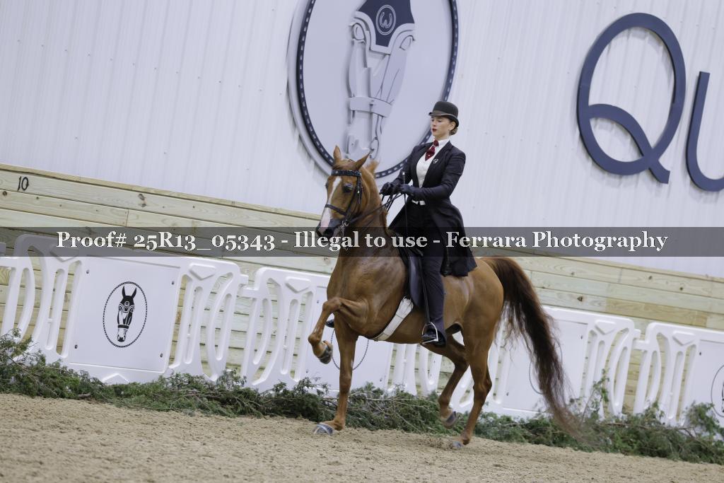 Proof 25R13_05343