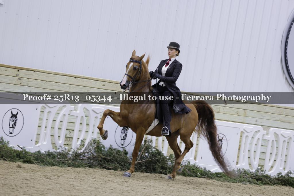 Proof 25R13_05344