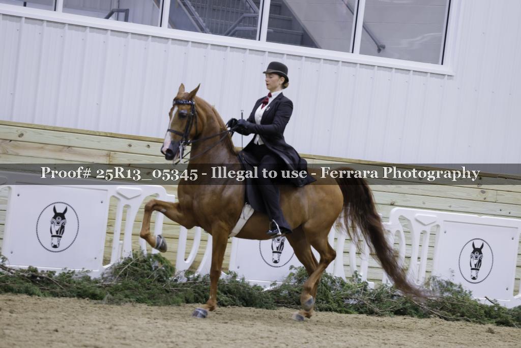 Proof 25R13_05345