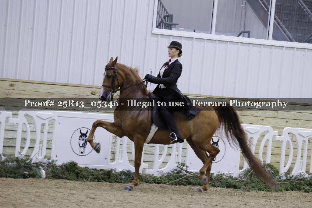 Proof 25R13_05346