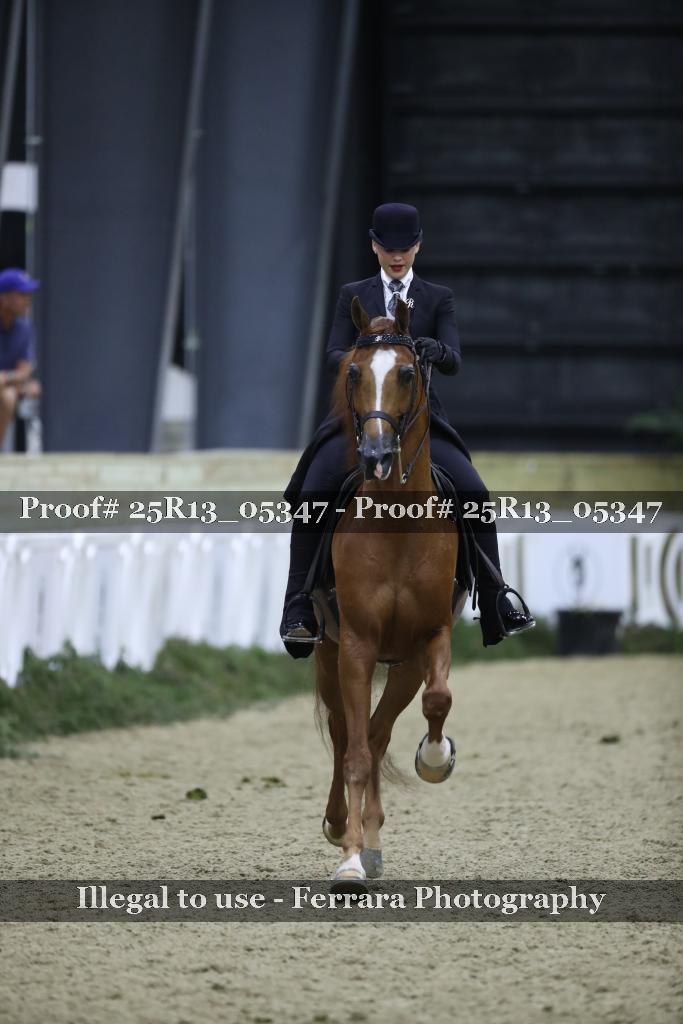 Proof 25R13_05347