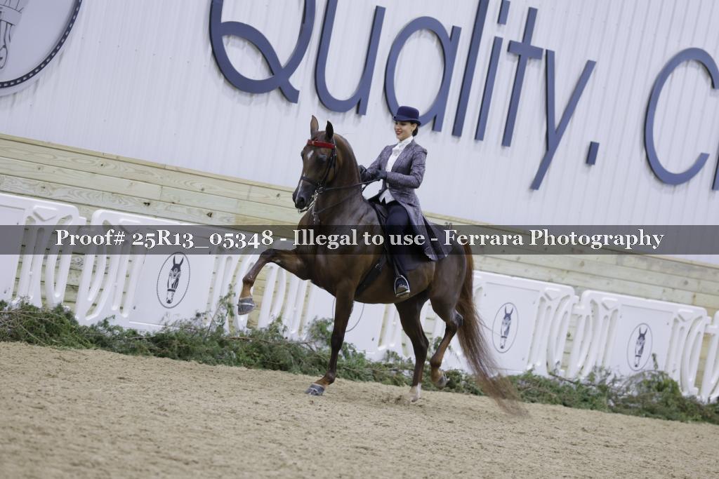 Proof 25R13_05348