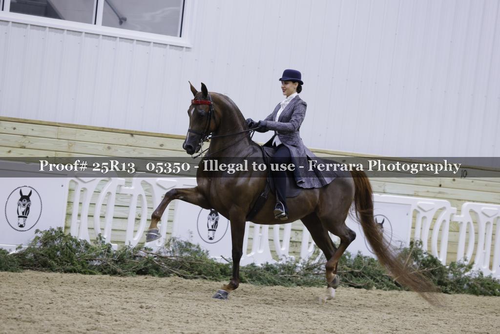 Proof 25R13_05350