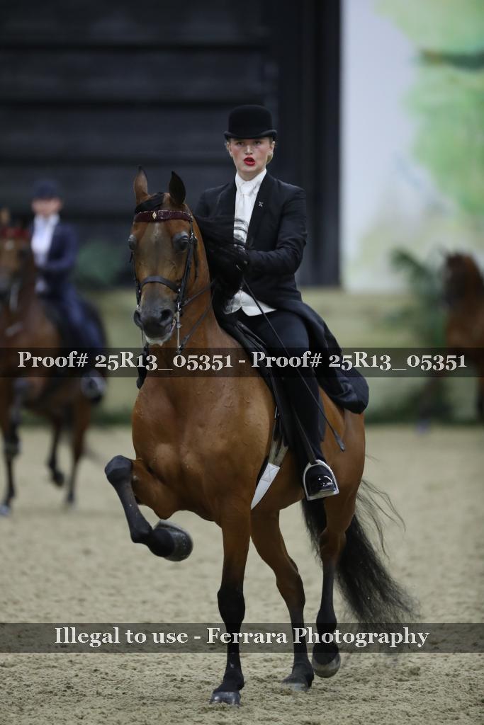 Proof 25R13_05351