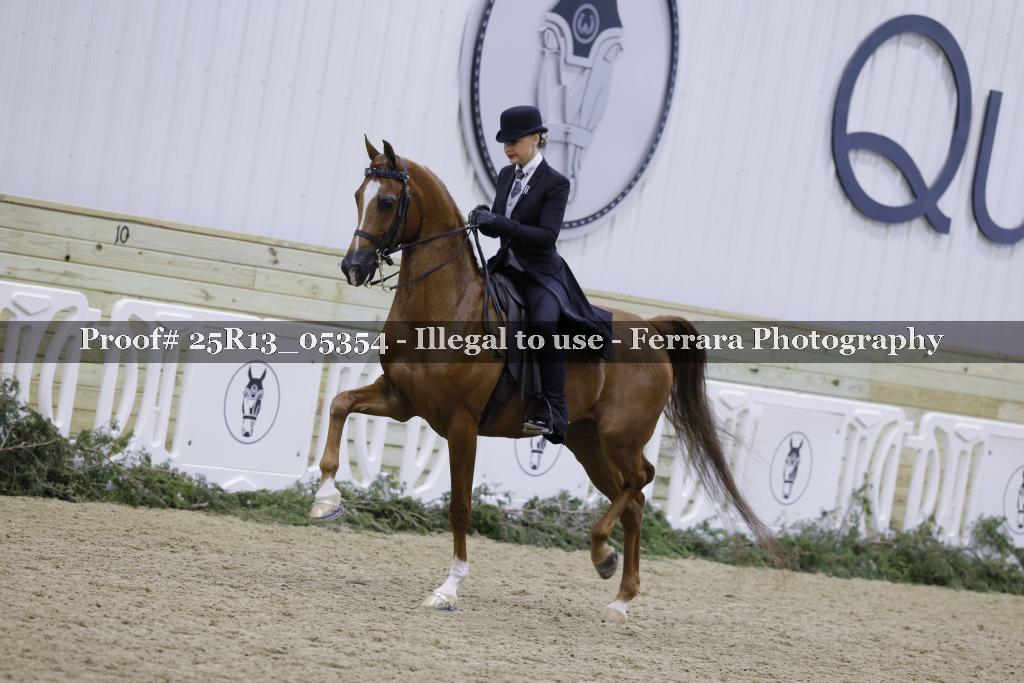 Proof 25R13_05354