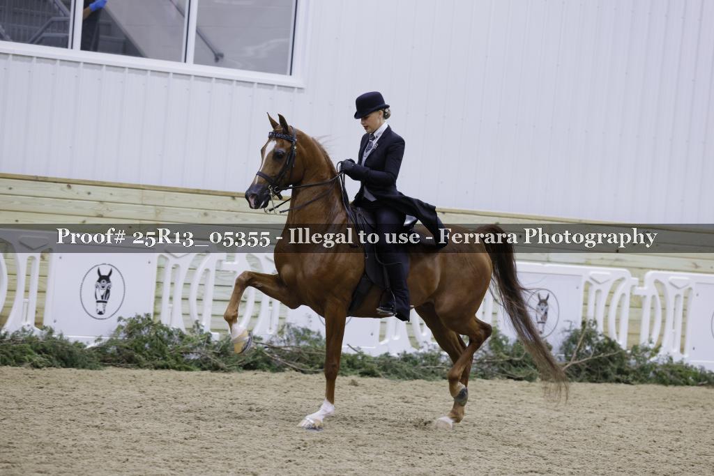 Proof 25R13_05355