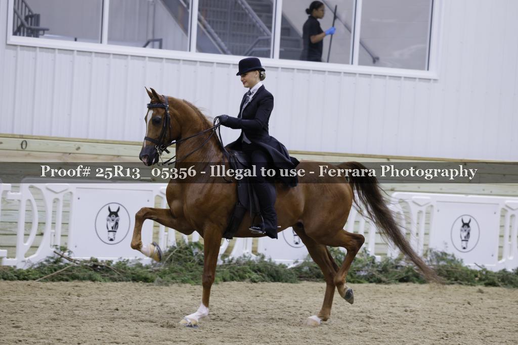 Proof 25R13_05356