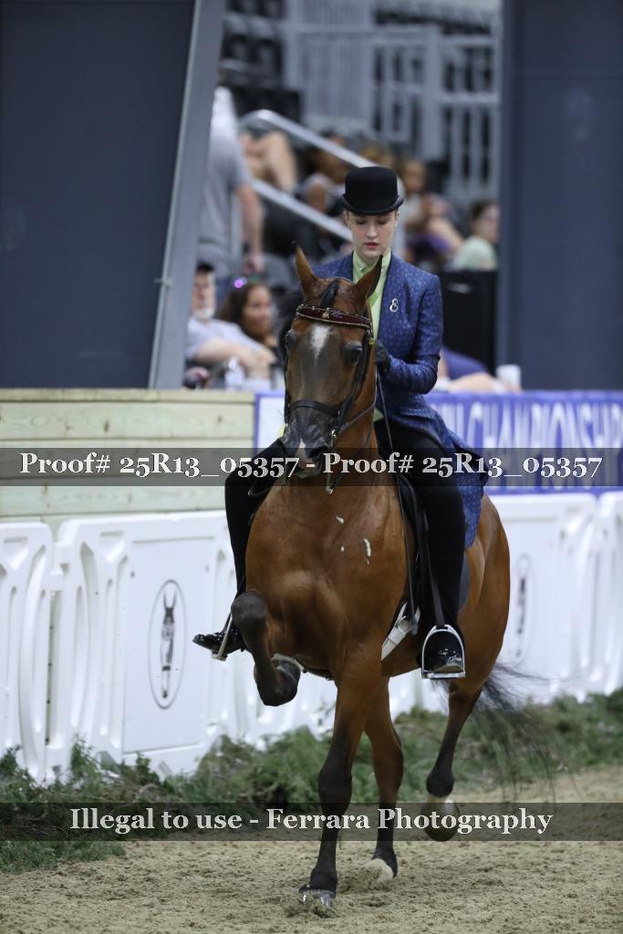 Proof 25R13_05357