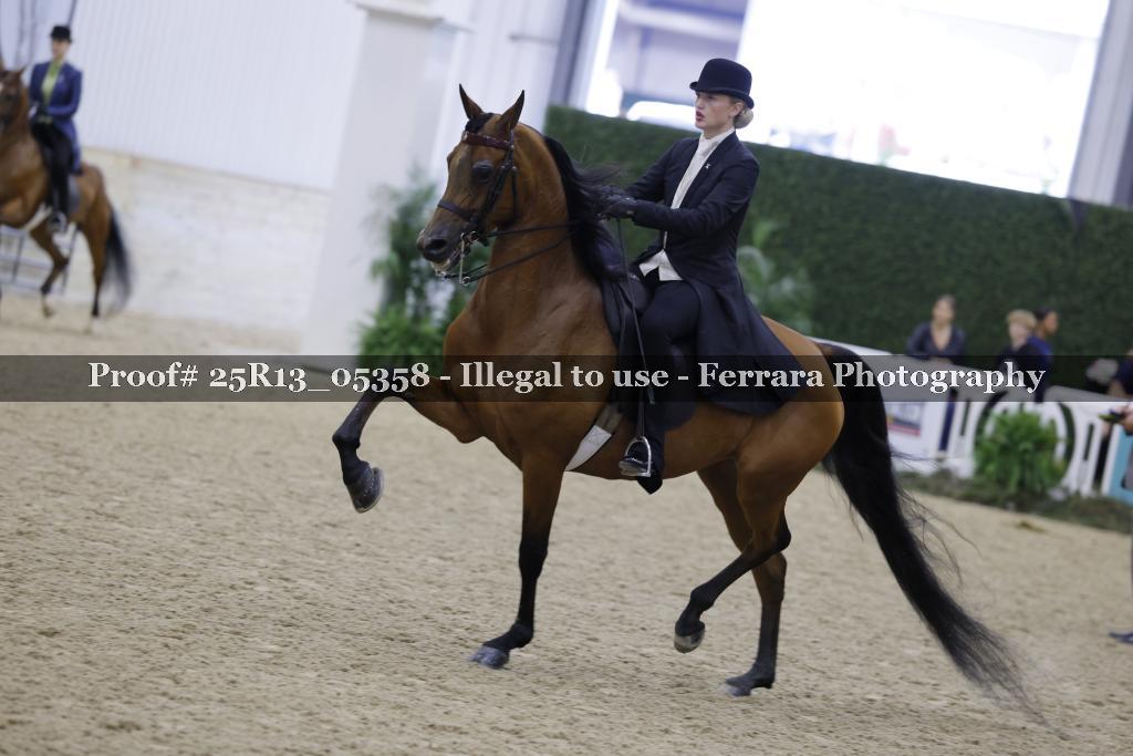 Proof 25R13_05358