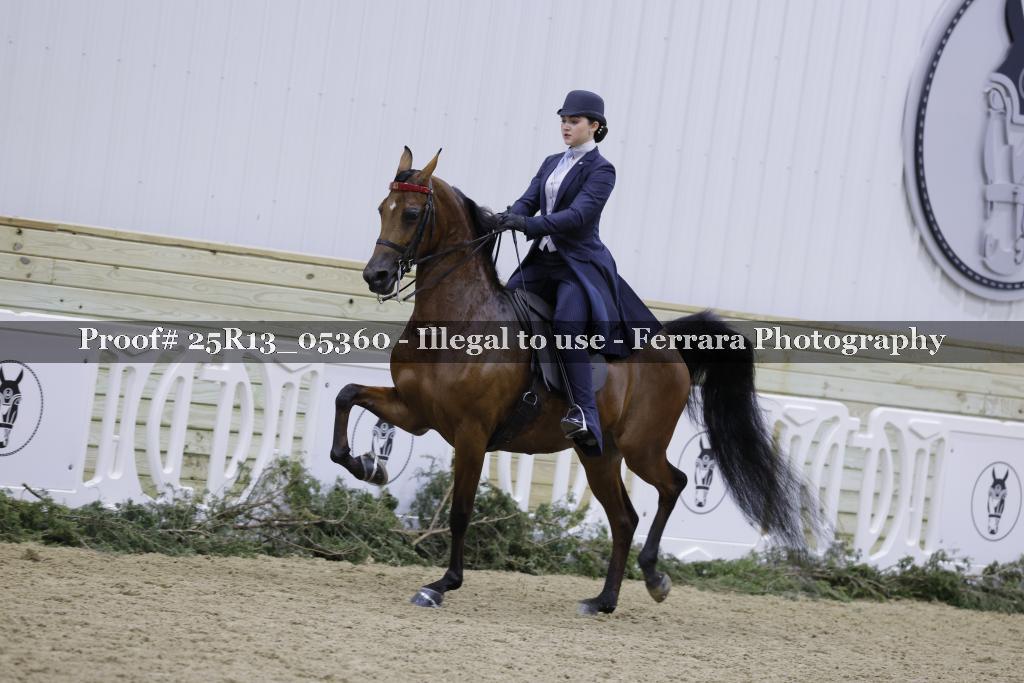 Proof 25R13_05360