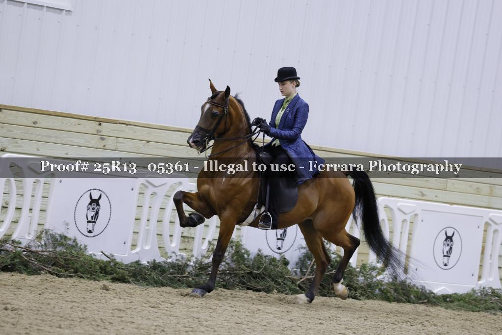 Proof 25R13_05361