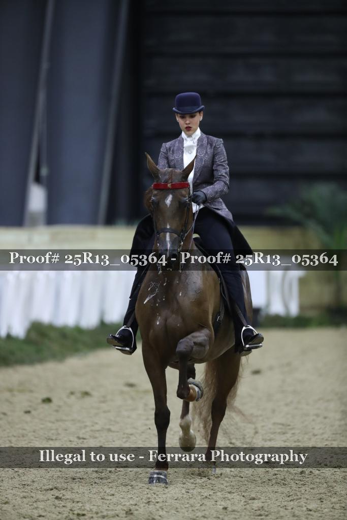 Proof 25R13_05364